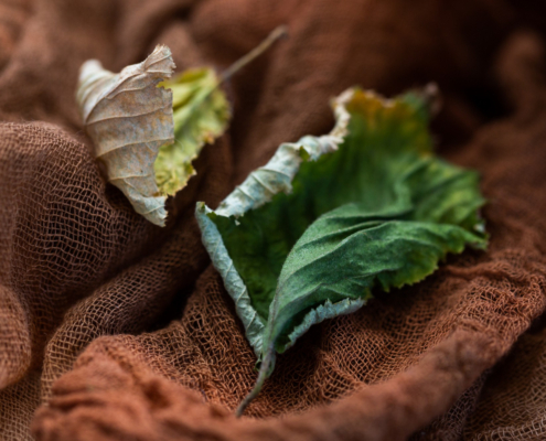 Miks looduslikud kangad tunduvad soojemad kui sünteetilised